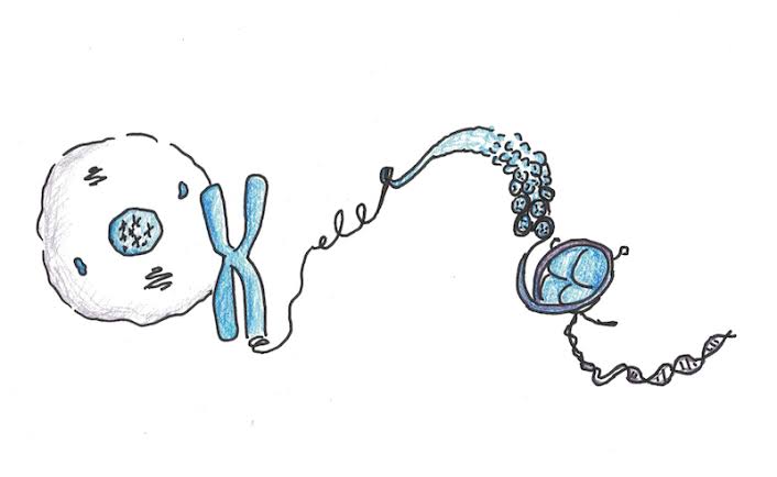 A-Level Biology
